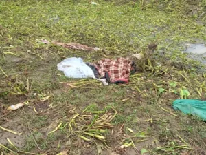 Bemetara Murder: बेमेतरा जिले में एक अज्ञात महिला का शव कई टुकड़ों में मिलने से इलाके में सनसनी फैल गई। महिला के शव को चादर में लपेटकर सुनसान जगह पर फेंका गया था। घटना की सूचना मिलते ही पुलिस और फॉरेंसिक टीम मौके पर पहुंची और जांच शुरू कर दी। मामला चंदनु थाना क्षेत्र के ग्राम तुमा का है।