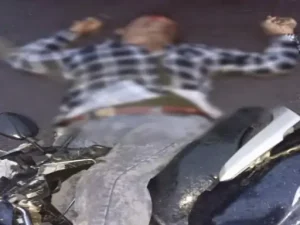 Janjgir Champa Accident: जांजगीर-चांपा जिले के बलौदा थाना क्षेत्र में तेज रफ्तार थार की टक्कर से स्कूटी सवार भाई-बहन की दर्दनाक मौत हो गई। दोनों मामा के घर जन्मदिन समारोह में शामिल होने जा रहे थे। हादसा मंगलवार शाम ग्राम जावलपुर के पास हुआ।