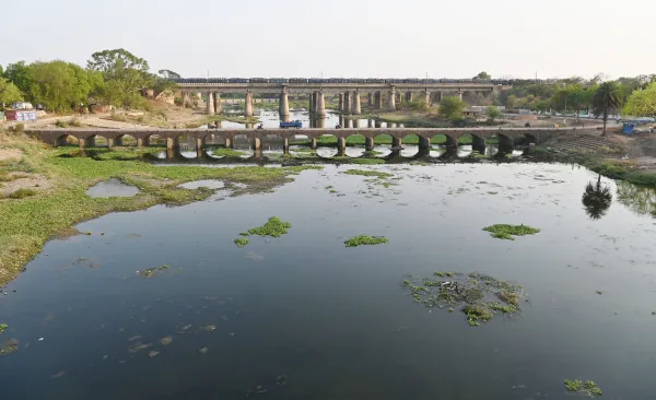 Raipur Breaking: राजधानी रायपुर के डीडी नगर थाना क्षेत्र में खारुन नदी से एक अधेड़ का शव मिलने से सनसनी फैल गई। नदी में शव तैरता देख लोगों ने पुलिस को सूचना दी। मौके पर पहुंची पुलिस ने शव को बाहर निकलवाकर पोस्टमार्टम के लिए भेज दिया। फिलहाल मौत के कारणों की जांच की जा रही है।