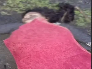Janjgir Champa Accident: जांजगीर-चांपा जिले के बलौदा थाना क्षेत्र में तेज रफ्तार थार की टक्कर से स्कूटी सवार भाई-बहन की दर्दनाक मौत हो गई। दोनों मामा के घर जन्मदिन समारोह में शामिल होने जा रहे थे। हादसा मंगलवार शाम ग्राम जावलपुर के पास हुआ।