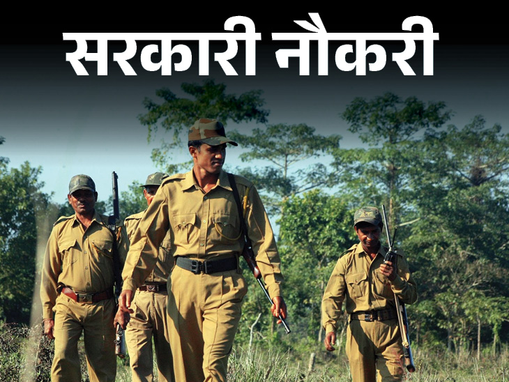 CG Forest Guard Recruitment: छत्तीसगढ़ वन विभाग में वनरक्षक के 1484 रिक्त पदों पर भर्ती प्रक्रिया तेज हो गई है। विभाग ने लिखित परीक्षा की तारीख घोषित कर दी है। परीक्षा 13 दिसंबर 2026 को आयोजित होगी। शारीरिक मापदंड और शारीरिक दक्षता परीक्षा में सफल 16,762 अभ्यर्थी लिखित परीक्षा में शामिल होंगे।