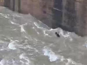Bango Dam: कोरबा जिले के मिनीमाता हसदेव बांगो बांध में छलांग लगाने के बाद लापता हुए 24 वर्षीय युवक रंजीत यादव का 48 घंटे बाद भी कोई सुराग नहीं मिल सका है। जिला नगर सेना की रेस्क्यू टीम सोमवार सुबह से लगातार सर्च ऑपरेशन चला रही है। युवक की तलाश तेज करने के लिए प्रशासन ने एनडीआरएफ की टीम को भी बुलाया है।