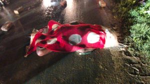 CG Murder: बलौदाबाजार जिले के भाटापारा क्षेत्र में 65 वर्षीय बुजुर्ग की धारदार हथियार से हत्या का मामला सामने आया है। ग्राम खैंदा और मुड़ियाडीह के बीच सड़क पर हुई इस वारदात से इलाके में सनसनी फैल गई। घटना कोतवाली थाना क्षेत्र की है।