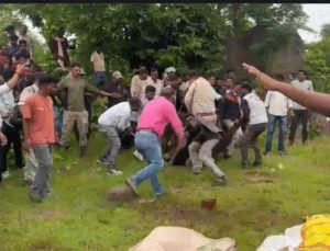 Kanker Bear Attack: छत्तीसगढ़ के कांकेर जिले में मादा भालू के हमले में 3 लोगों की मौत हो गई, जबकि तीन अन्य घायल हो गए। यह घटना बुधवार को नरहरपुर वन परिक्षेत्र के मरकाटोला और गवरसिल्ली गांव में हुई। मृतकों में भाई-बहन भी शामिल हैं। वन विभाग ने रेस्क्यू अभियान चलाकर मादा भालू को बेहोश कर पिंजरे में बंद कर लिया है।
