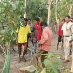 CG Murder: रायगढ़ जिले के कापू थाना क्षेत्र में पत्नी की हत्या कर सबूत मिटाने का सनसनीखेज मामला सामने आया है। पुलिस के अनुसार पति ने गला दबाकर पत्नी की हत्या की, फिर शव को जलाकर हड्डियों के अवशेष घर के आंगन में गड्ढा खोदकर दफना दिए। इसके बाद पत्नी की गुमशुदगी की झूठी रिपोर्ट दर्ज कराकर पुलिस को गुमराह करने की कोशिश की। DNA जांच में सच सामने आने के बाद आरोपी को गिरफ्तार कर जेल भेज दिया गया।