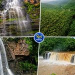 CG Monsoon Tourism: मानसून की झमाझम बारिश के बाद रायपुर के आसपास के जंगल, पहाड़ और घाटियां हरियाली से भर गई हैं। इसी मौसम में कई वॉटरफॉल अपनी पूरी खूबसूरती के साथ नजर आते हैं। अगर आप वीकेंड पर शहर की भागदौड़ से दूर प्रकृति के बीच सुकून के पल बिताना चाहते हैं, तो रायपुर से 70 से 150 किलोमीटर की दूरी पर स्थित ये वॉटरफॉल बेहतरीन विकल्प हो सकते हैं।