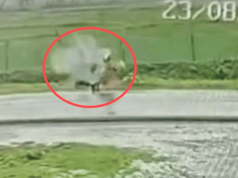 CG Lightning Strike: छत्तीसगढ़ के मुंगेली जिले में आकाशीय बिजली गिरने से एक महिला की मौत हो गई। हादसा 23 अगस्त को दोपहर करीब 12 बजे ग्राम पंडारभट्ठा मुख्य मार्ग पर हुआ। महिला खेत में काम करने के बाद घर लौट रही थी, तभी अचानक आकाशीय बिजली की चपेट में आ गई।