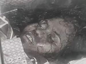 Raipur Murder: राजधानी रायपुर के झूलेलाल चौक के पास स्थित बंसल पैराडाइज होटल के एक कमरे से युवती का शव मिलने से सनसनी फैल गई। उसी कमरे में एक युवक गंभीर रूप से घायल अवस्था में मिला है। घटना गंज थाना क्षेत्र की है। सूचना मिलने पर पुलिस और FSL की टीम मौके पर पहुंची और जांच शुरू कर दी।