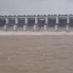 Gangrel Dam: धमतरी जिले में लगातार हो रही बारिश के कारण प्रमुख जलाशयों का जलस्तर तेजी से बढ़ गया है। स्थिति को नियंत्रित रखने के लिए गंगरेल बांध के सभी 10 गेट खोल दिए गए हैं, जिनसे 54,950 क्यूसेक पानी छोड़ा जा रहा है। वहीं, मुरुमसिल्ली साइफन डैम के भी सभी गेट खोल दिए गए हैं। प्रशासन ने नदी किनारे बसे गांवों में सतर्कता बरतने की अपील करते हुए अलर्ट जारी किया है।