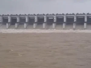 Gangrel Dam: धमतरी जिले में लगातार हो रही बारिश के कारण प्रमुख जलाशयों का जलस्तर तेजी से बढ़ गया है। स्थिति को नियंत्रित रखने के लिए गंगरेल बांध के सभी 10 गेट खोल दिए गए हैं, जिनसे 54,950 क्यूसेक पानी छोड़ा जा रहा है। वहीं, मुरुमसिल्ली साइफन डैम के भी सभी गेट खोल दिए गए हैं। प्रशासन ने नदी किनारे बसे गांवों में सतर्कता बरतने की अपील करते हुए अलर्ट जारी किया है।