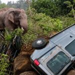 CG Elephant Attack: छत्तीसगढ़ के सूरजपुर जिले के तमोर पिंगला अभयारण्य क्षेत्र में कबरा काना हाथी के लगातार विचरण से ग्रामीणों में दहशत का माहौल है। गुरुवार सुबह ग्राम भेलकच में हाथी ने सड़क पर खड़े एक इको वाहन पर हमला कर उसे बुरी तरह क्षतिग्रस्त कर दिया। बताया जा रहा है कि वाहन भेलकच निवासी त्रिलोचन सिंह का है।