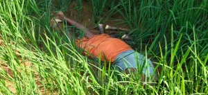CG Farmer Death: छत्तीसगढ़ के बिलासपुर जिले के तखतपुर क्षेत्र में खेत की रखवाली करने गए एक किसान की करंट लगने से मौत हो गई। बताया जा रहा है कि धान की फसल को आवारा मवेशियों से बचाने के लिए लगाए गए अवैध विद्युत तार की चपेट में आने से किसान की जान चली गई।
