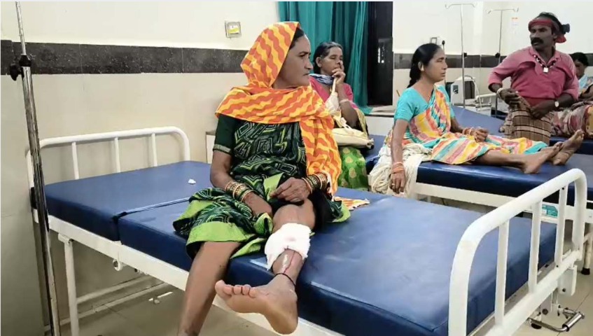 CG Dog Attack: छत्तीसगढ़ के बालोद जिले के डौंडीलोहारा नगर में आवारा कुत्ते के हमले से हड़कंप मच गया। कुत्ते ने नगर के अलग-अलग इलाकों में 13 लोगों पर हमला कर उन्हें घायल कर दिया। घायलों में महिलाएं, बच्चे और बुजुर्ग भी शामिल हैं।