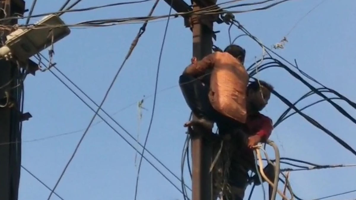 CG News: धमतरी में एक शराबी युवक ने बिजली के खंभे पर चढ़कर जमकर हंगामा किया। युवक को पोल पर चढ़ा देख मौके पर लोगों की भीड़ जमा हो गई। करीब एक घंटे तक चले इस ड्रामे के दौरान लोग युवक को नीचे उतरने के लिए समझाते रहे, लेकिन वह किसी की बात सुनने को तैयार नहीं था।