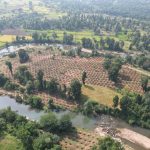 CG Water Conservation: गौरेला-पेंड्रा-मरवाही जिले के मरवाही विकासखंड अंतर्गत ग्राम पंचायत दर्री के डोंगरी टोला में जल संरक्षण की दिशा में बड़ी पहल की गई है। यहां करीब 3 हजार स्टैगर्ड कंटूर ट्रेंच का निर्माण कर 24 लाख 30 हजार लीटर वर्षा जल संग्रहण की क्षमता विकसित की गई है। यह पहल भूजल स्तर बढ़ाने के साथ ही ग्रामीणों को जल संकट से राहत देने में मददगार साबित होगी।