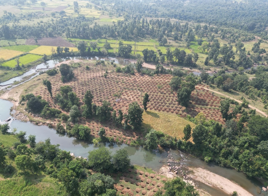 CG Water Conservation: गौरेला-पेंड्रा-मरवाही जिले के मरवाही विकासखंड अंतर्गत ग्राम पंचायत दर्री के डोंगरी टोला में जल संरक्षण की दिशा में बड़ी पहल की गई है। यहां करीब 3 हजार स्टैगर्ड कंटूर ट्रेंच का निर्माण कर 24 लाख 30 हजार लीटर वर्षा जल संग्रहण की क्षमता विकसित की गई है। यह पहल भूजल स्तर बढ़ाने के साथ ही ग्रामीणों को जल संकट से राहत देने में मददगार साबित होगी।