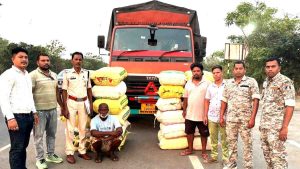 CG Ganja Smuggling: महासमुंद पुलिस ने नशे के खिलाफ बड़ी कार्रवाई करते हुए नेशनल हाईवे-53 पर एक ट्रक से 560 किलोग्राम गांजा बरामद किया है। जब्त गांजे की कीमत करीब 2 करोड़ 80 लाख रुपए बताई जा रही है। मामले में पुलिस ने महाराष्ट्र निवासी दो तस्करों को गिरफ्तार किया है।