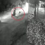 CG Accident: धमतरी जिले में दर्दनाक सड़क हादसे का मामला सामने आया है। रत्नाबांधा के पास तेज रफ्तार कार ने सड़क पर लेटे एक युवक को कुचल दिया। हादसे का सीसीटीवी वीडियो भी सामने आया है। घटना में युवक गंभीर रूप से घायल हो गया था, जिसे अस्पताल ले जाया गया, जहां इलाज के दौरान उसकी मौत हो गई।