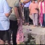 Gobra Nawapara bhrun